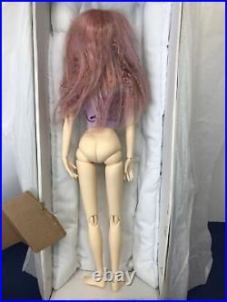 16 Tonner Lady G Resin BJD Doll LTD 125 Cinderella Sculpt Convention & 4 Wigs