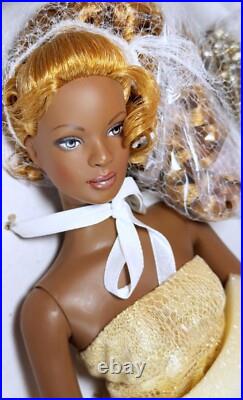 16 Tonner Luce Bella Tyler Wentworth Esme Sydney Chase Fashion Doll Box 2005