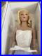 16-Tonner-Tyler-Wentworth-Doll-Sweet-Indulgences-Gift-Set-With-Box-01-hk