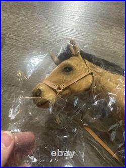 #318 Tonner Tyler Wentworth MONTANA GETAWAY SYDNEY Set TW9313 LE500 WithHorse