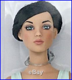 AMY'S CINDERELLA Tonner Ultra Basic 16 Doll #T9TWSD05 LE300 NRFB