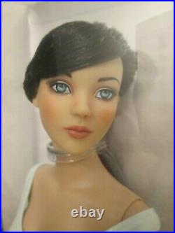 Amy's Cinderella Tonner Doll Cherished Friend 75 Made Ultra Basic Raven NRFB COA