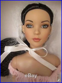 Cinderella Basic Raven NRFB Tonner Doll 2007 Cherished Friends 250 Made Tyler