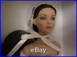 Cinderella Basic Raven NRFB Tonner Doll 2007 Cherished Friends 250 Made Tyler