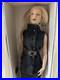 NRFB-Tonner-Tyler-Wentworth-Bryant-Park-Tyler-LE-HTF-16-Doll-Accessories-01-vyqe
