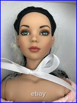 Robert Tonner 16 Cinderella Basic-Raven Doll Tyler Wentworth Collection NRFB