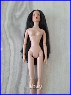 Robert Tonner Fashion Doll Collection! Featuring Tyler Wentworth Nude Doll