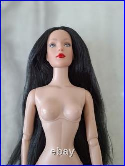 Robert Tonner Fashion Doll Collection! Featuring Tyler Wentworth Nude Doll