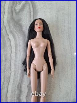 Robert Tonner Fashion Doll Collection! Featuring Tyler Wentworth Nude Doll