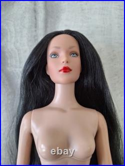 Robert Tonner Fashion Doll Collection! Featuring Tyler Wentworth Nude Doll