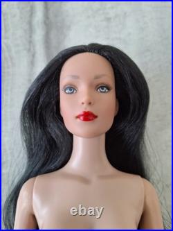 Robert Tonner Fashion Doll Collection! Featuring Tyler Wentworth Nude Doll