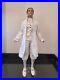 Robert Tonner Fashion Doll Collection! Prince Charming! The Cinderella