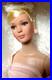 Robert Tonner Tyler Wentworth Collection 2001 Standing Ovation Box Stand Outfit