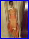 Robert Tonner Tyler Wentworth Cover Girl Esme AA 16 NRFB WithShipper