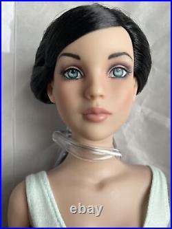 TONNER Tyler CHERISHED FRIENDS EXCLUSIVE AMY'S ULTRA BASIC RAVEN CINDERELLA DOLL
