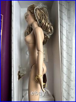 Tonner 2006 WILD SPICE Tyler Wentworth 16 NUDE Fashion Doll BW BODY +Box Stand Tonner 2006 WILD SPICE Tyler Wentworth 16 NUDE Fashion Doll BW BODY +Box Stand