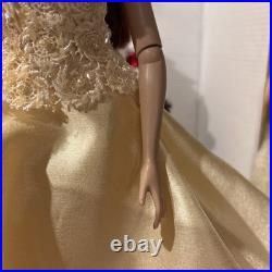 Tonner Doll 16 Beautiful Dress