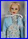 Tonner-Dolls-Cold-As-Ice-Kit-LE-500-16-Tyler-Size-Jeremy-Voss-NRFB-01-voma