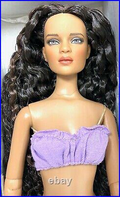 Tonner Jon-Brunette from the 2010 Cami and Jon Collection preowned MINT