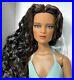 Tonner-Jon-from-the-2010-Cami-and-Jon-Collection-long-crimp-hair-New-NRFB-01-ufd