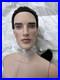 Tonner-MATT-Tyler-Wentworth-2009-ULTRA-BASIC-RAVEN-JEREMY-VOSS-17-DOLL-NRFB-LE-01-ckmv
