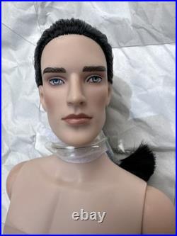 Tonner MATT Tyler Wentworth 2009 ULTRA BASIC RAVEN JEREMY VOSS 17 DOLL NRFB LE