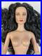 Tonner NUDE 16 Wonder Woman DC Stars Tyler Wentworth Body Raven Hair