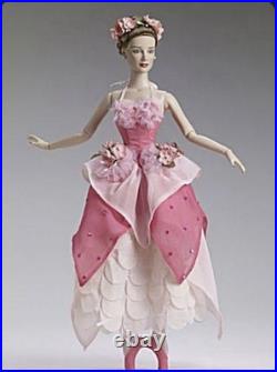 Tonner NYC Ballet Doll 2014 (Daphne Sculpt) Complete Set No COA. Box Included