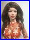 Tonner-TYLER-16-2013-NIGHTY-NITE-PEGGY-HARCOURT-Used-Wigged-Doll-Outfit-01-ul
