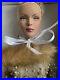 Tonner-TYLER-WENTWORTH-2004-ANNIVERSARY-GALA-16-Complete-FASHION-DOLL-LE-2000-01-ew