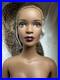 Tonner-TYLER-WENTWORTH-2004-COLLECTION-NUDE-SUMPTUOUS-ESME-16-FASHION-DOLL-Box-01-dyl