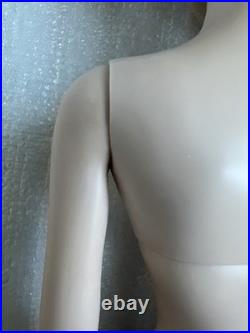 Tonner TYLER WENTWORTH 2007 NUDE SHIMMERING QUEEN BASIC SHAUNA 16 FASHION DOLL Tonner TYLER WENTWORTH 2007 NUDE SHIMMERING QUEEN BASIC SHAUNA 16 FASHION DOLL