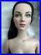 Tonner-Tyler-2007-NUDE-AU-NATURALE-ASHLEIGH-BLACK-HAIR-16-Doll-TWO-DAYDREAMERS-01-ryyx