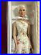 Tonner-Tyler-ANGELINA-Chase-Model-2004-Limited-Edition-Doll-NRFB-01-yzd