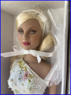Tonner Tyler Wentworth 16 Doll Chase Modeling Collection Angelina NRFB Tonner Tyler Wentworth 16 Doll Chase Modeling Collection Angelina NRFB