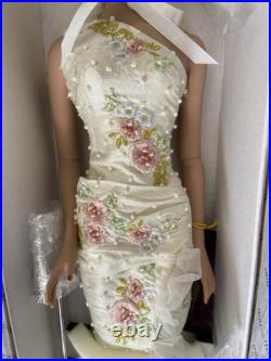 Tonner Tyler Wentworth 16 Doll Chase Modeling Collection Angelina NRFB Tonner Tyler Wentworth 16 Doll Chase Modeling Collection Angelina NRFB