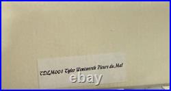 Tonner Tyler Wentworth 2000 Theatre De La Mode FLEURS DU MAL 16 Doll NIB