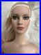 Tonner-Tyler-Wentworth-2006-Collection-BASIC-JANE-PLATINUM-16-Fashion-Doll-BW-01-dfjg