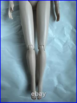 Tonner Tyler Wentworth 2007 HIGH SEAS Basic DAPHNE DIMPLES 16 NUDE Fashion Doll