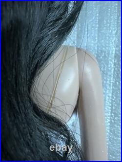 Tonner Tyler Wentworth 2007 ULTRA BASIC STELLA RAVEN 16 FASHION DOLL LE250 READ Tonner Tyler Wentworth 2007 ULTRA BASIC STELLA RAVEN 16 FASHION DOLL LE250 READ