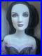 Tonner-Tyler-Wentworth-2010-HALLOWEEN-CONVENTION-DEATH-16-Dressed-Fashion-Doll-01-bg