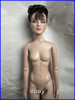 Tonner Tyler Wentworth 2010 NUDE VIVACIOUS ANTOINETTE 16 FASHION DOLL LE 250 Tonner Tyler Wentworth 2010 NUDE VIVACIOUS ANTOINETTE 16 FASHION DOLL LE 250
