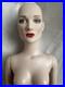 Tonner Tyler Wentworth 2011 READY TO DRESS CAROL BARRIE NUDE 16 FASHION DOLL LE