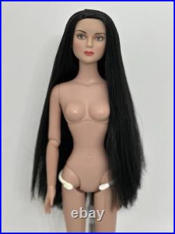 Tonner Tyler Wentworth Doll With Partial Reroot Tonner Tyler Wentworth Doll With Partial Reroot