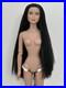 Tonner-Tyler-Wentworth-Doll-With-Partial-Reroot-01-wvd