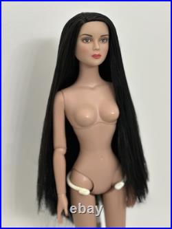 Tonner Tyler Wentworth Doll With Partial Reroot Tonner Tyler Wentworth Doll With Partial Reroot