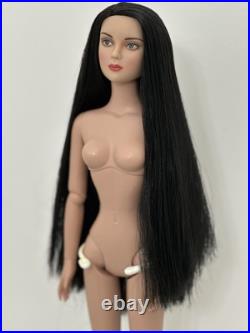 Tonner Tyler Wentworth Doll With Partial Reroot Tonner Tyler Wentworth Doll With Partial Reroot