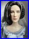 Tonner-Tyler-Wentworth-LORD-OF-THE-RINGS-ARWEN-EVENSTAR-16-DRESSED-FASHION-DOLL-01-txz