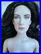 Tonner Tyler Wentworth LORD OF THE RINGS NUDE ARWEN EVENSTAR 16 FASHION DOLL LE