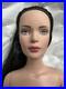 Tonner Tyler Wentworth NUDE 2006 BLUSH & BASHFUL TYLER 16 Fashion DOLL BW BODY